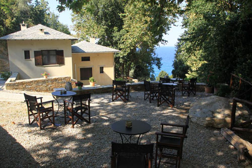 Vergopoulou Oliveyard

